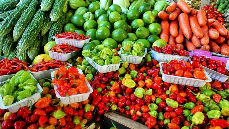 primeur-LA SEYNE SUR MER-min_farmers-market-1329008