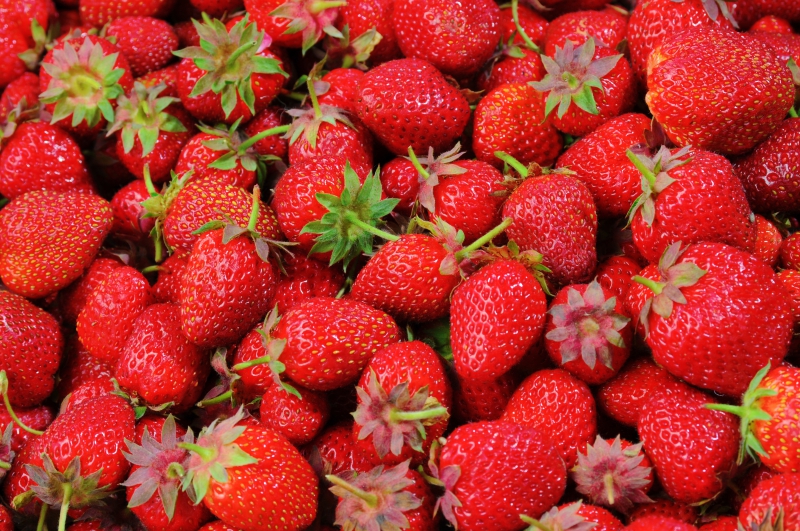 primeur-LA SEYNE SUR MER-min_strawberries-528791